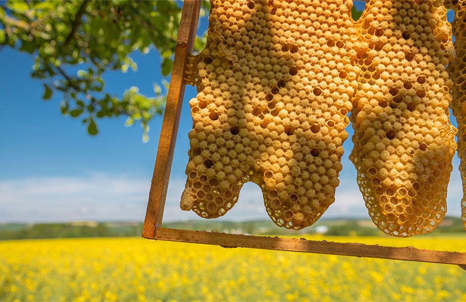 Μελισσοκομικά Είδη